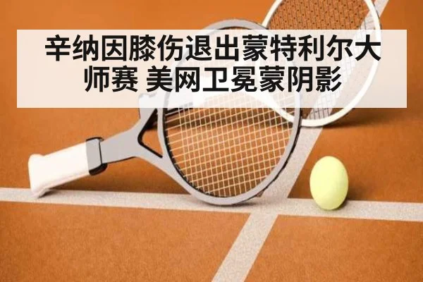 辛纳因膝伤退出蒙特利尔大师赛 美网卫冕蒙阴影