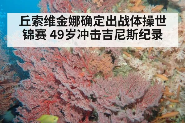 丘索维金娜确定出战体操世锦赛 49岁冲击吉尼斯纪录